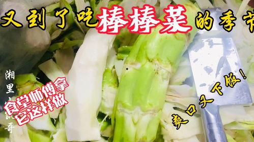 潮安教师吃瓜,揭秘校园背后的“瓜田”风云 第1张 潮安教师吃瓜,揭秘校园背后的“瓜田”风云 第1张